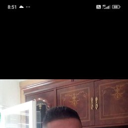 ���������, 48 ���, �����-���������