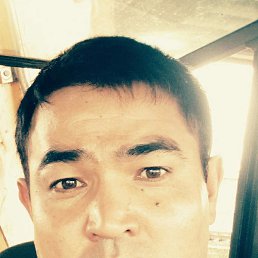 , 44, 