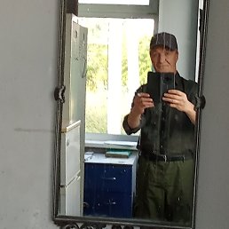 ���� ����, �����������, 50 ��� - ��������� 2 ������ 2026