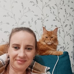 , 40, 