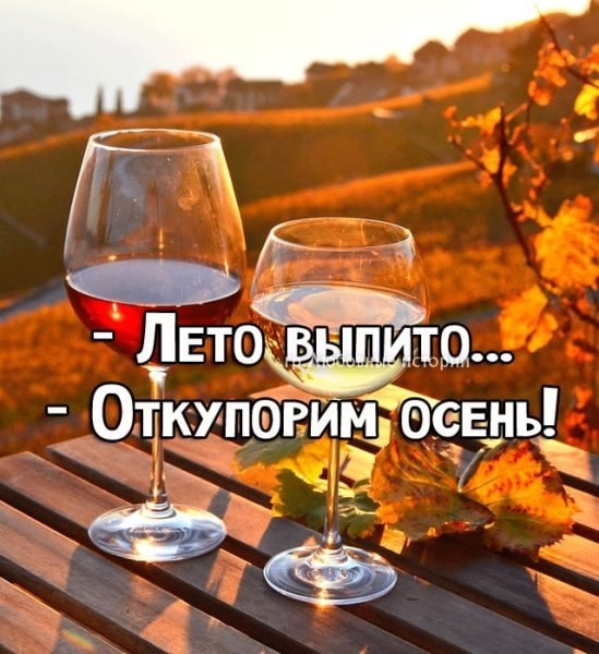   - 29  2025  13:59