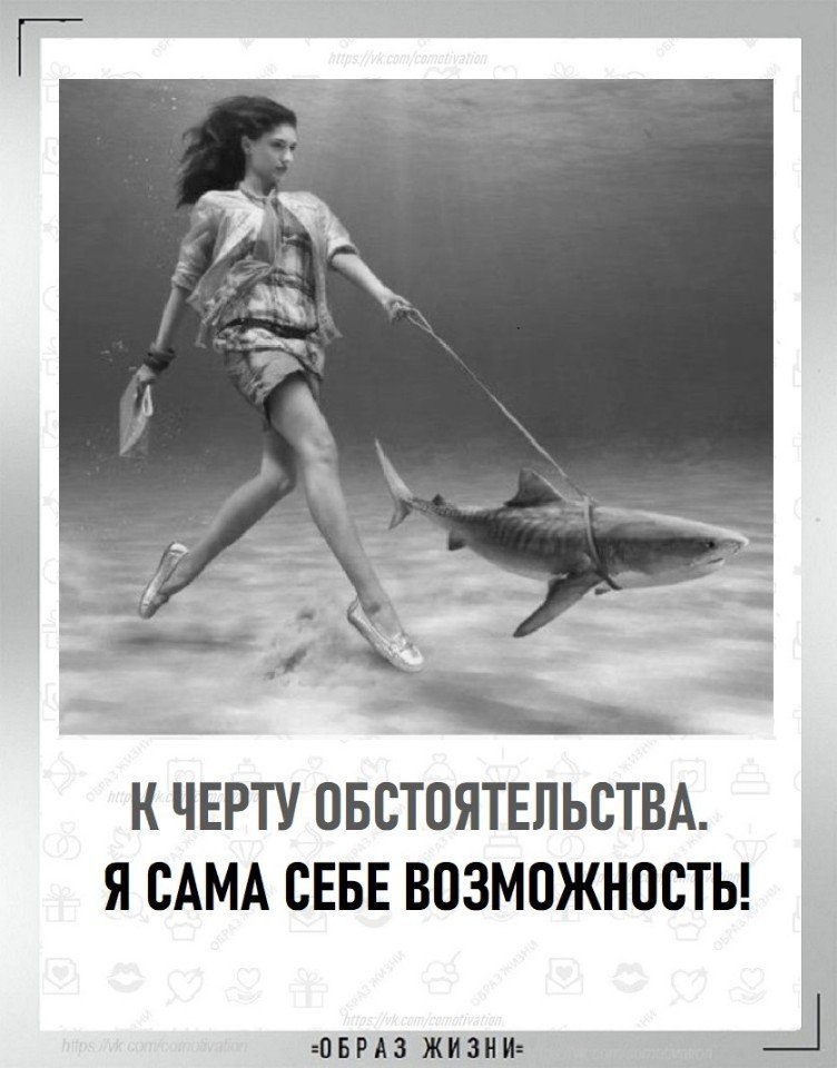 Co-Motivation.... . - 22  2025  18:49