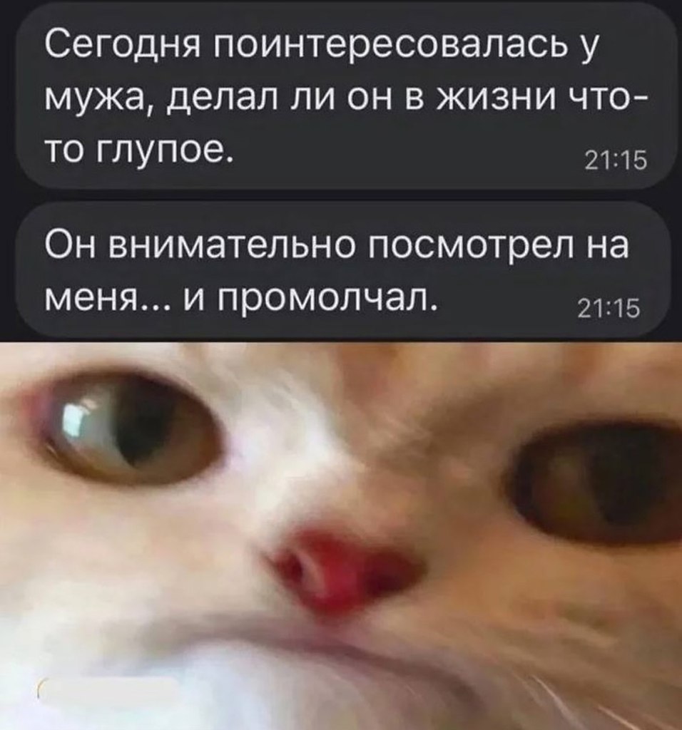   - 25  2025  08:51