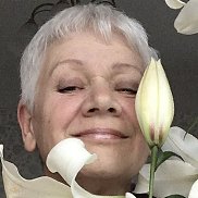 ���, 66 ���, ������