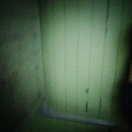 ����, �����������, 49 ���