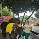 ������� ������� ������ 2024 �. �� ������� ���� ����������