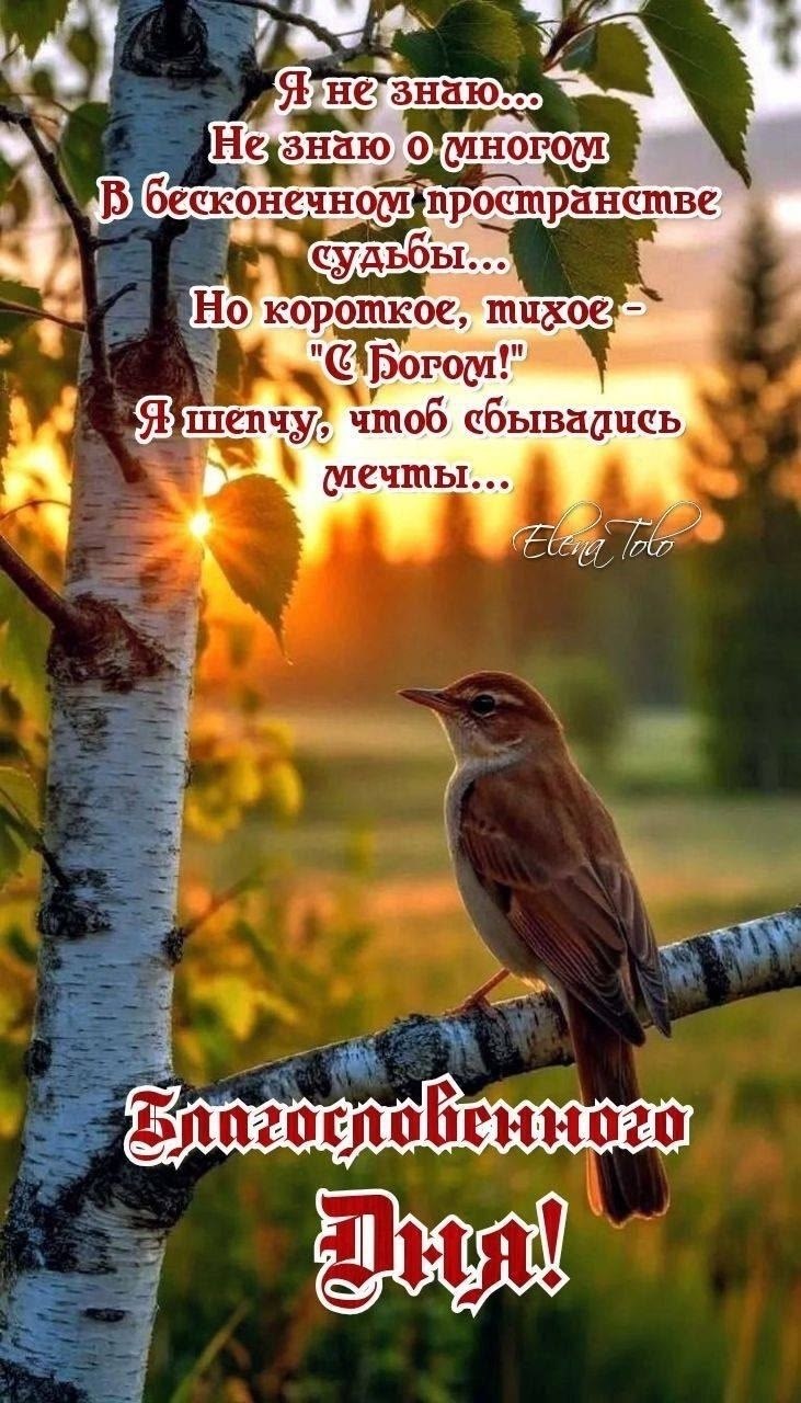    .  ,  !     !! ...