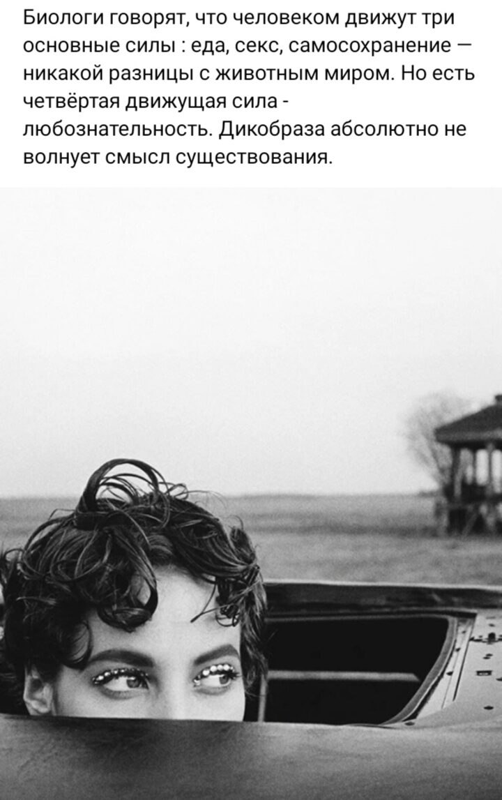 ***Victoria Viktorovna*** - 29  2024  16:24