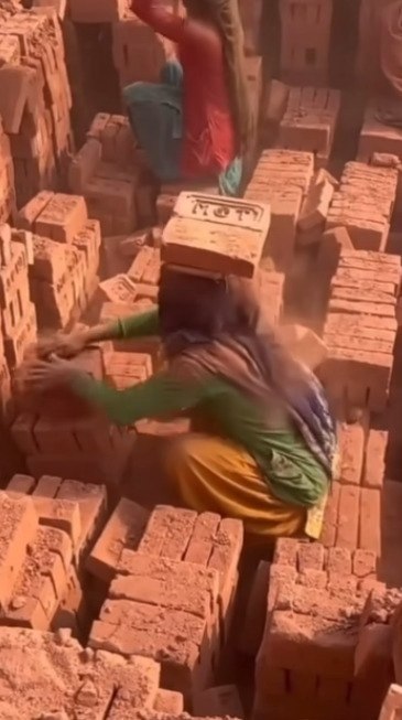    ,    .
