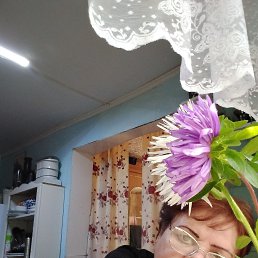 , 65, 