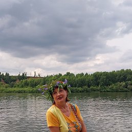 , 62, 