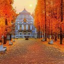 ���� �, �����-��������� - ��������� 11 ������ 2024 � ������ ������ ��������