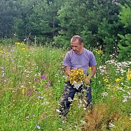 �������� ��������, ����, 63 ����