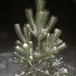 �����, ������, 30 ���