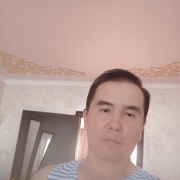 , 46, 