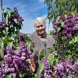 �������, �����, 83 ����