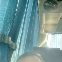 , 41, 