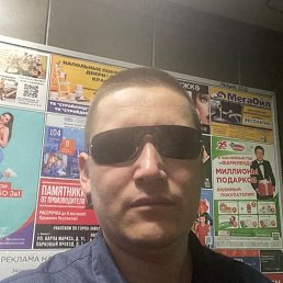 ���� ����, ������, 38 ��� - ��������� 5 ������ 2024