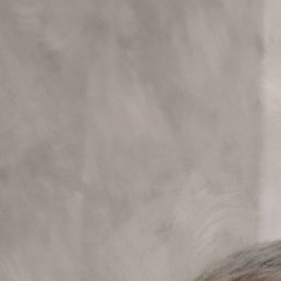 , , 54 