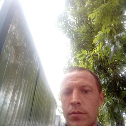 , 44, 
