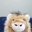 �������� �� ������� ���� ����������