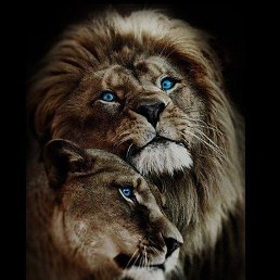 ���, ������, 51 ���