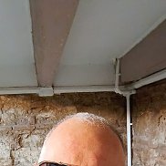 David, 46 ���, �������
