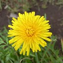 ���� ��������, ������, 46 ��� - ��������� 17 ��� 2024 � ������ ���� ����������