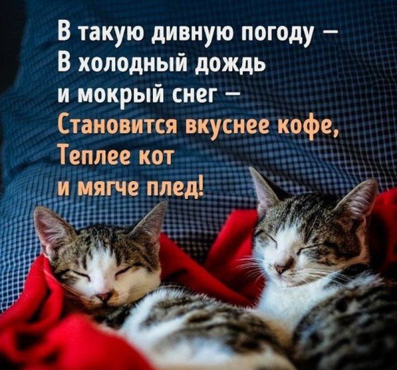   - 17  2025  18:49