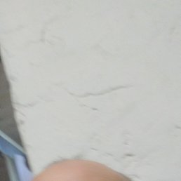 ������� ��������, ���������, 49 ���