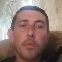 �������, ���������, 43 ����