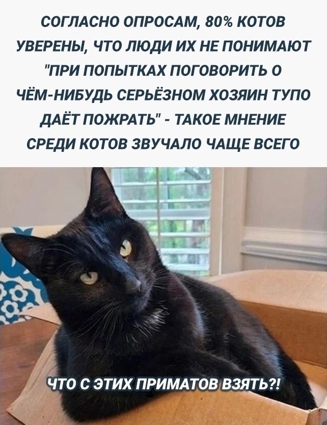  - 20  2025  06:01