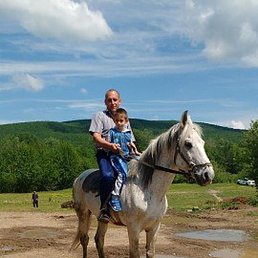 ������, ���������, 44 ����