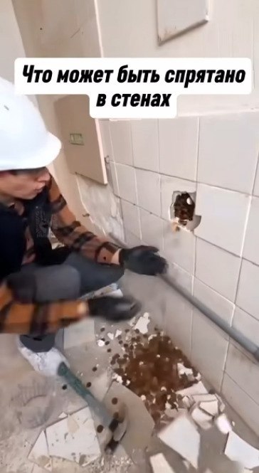      ,  ,     .
