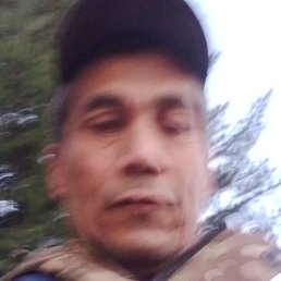 �������, ������, 40 ���