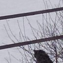 ���� ����, ������, 39 ��� - ��������� 7 ������� 2025 � ������ ���� ����������