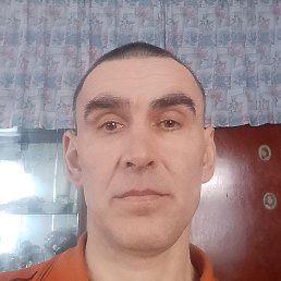 ������, ������, 50 ���