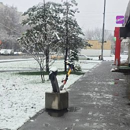 �����������