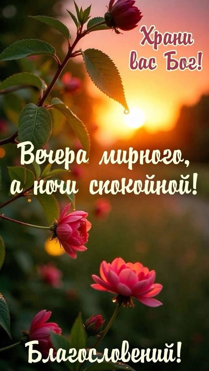������ - 27 ���� 2026 � 18:12