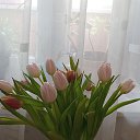 ���� �������, ������������, 45 ��� - ��������� 5 ������� 2026