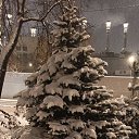 ���� �����, ������, 38 ��� - ��������� 3 ������ 2026 � ������ ���� ����������