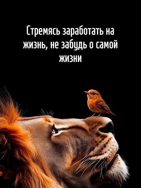 ***Victoria Viktorovna*** - 17  2025  03:05