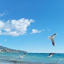 ���� �, ������ - ��������� 29 ��� 2026 � ������ ������ ��������