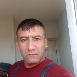 , 42, 