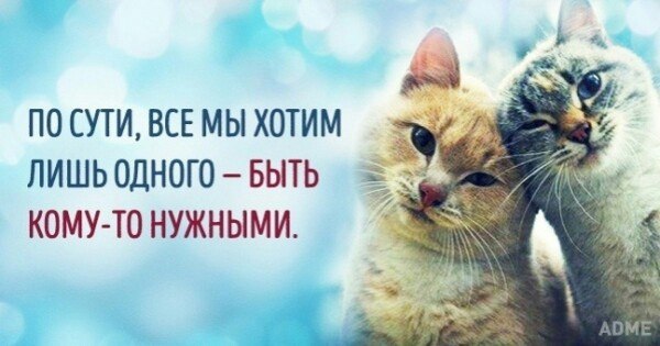  - 7  2025  15:33