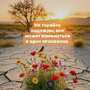 ���� �������, ���������� - ��������� 13 �������� 2025 � ������ ������ ��������
