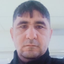 �����, �������, 37 ���