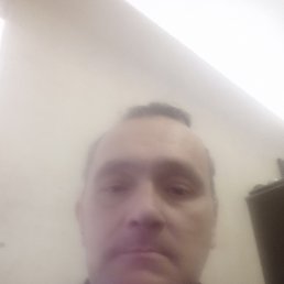 , 54, 