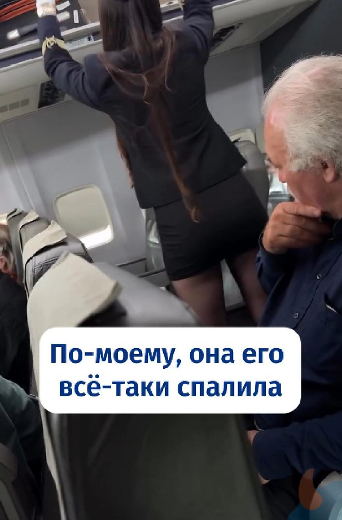 Старый лев изучает свою добычу