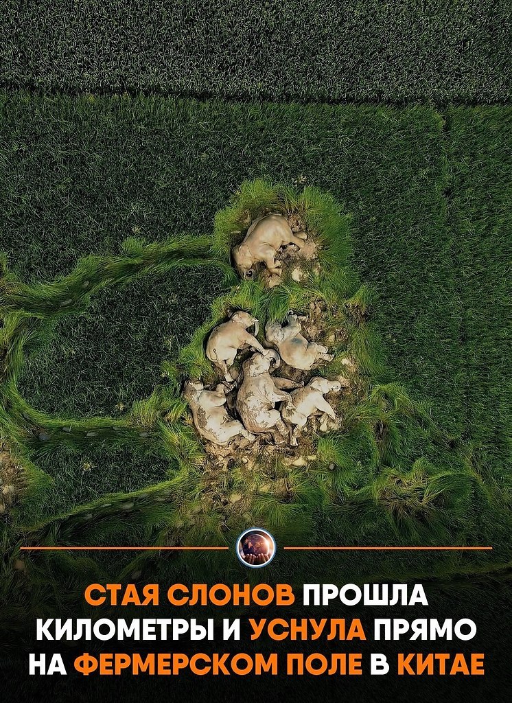 ep�ep� �a�e���� ce��� ���o����, �o�op�e �o �pe�� ���pa��� pe���� �c�po��� �opo���� o����. �a��e ...